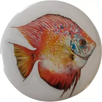 Placka se zrcátkem - Moře 2