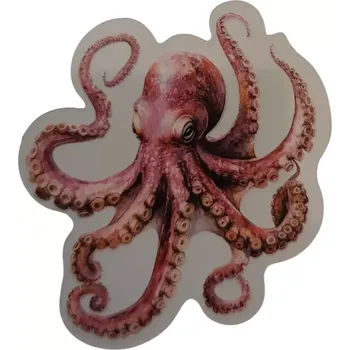 Placka se zrcátkem - Moře 12