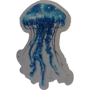 Placka se zrcátkem - Moře 9