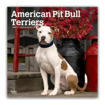 Diář American Pit Bull Terriers 2026 - 16-Monatskalender (EN)
