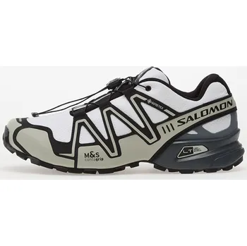 Pánské tenisky Tenisky Salomon Speedcross 3 GTX White/ Metal/ Turbul EUR 44 2/3