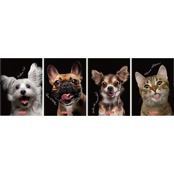 Sešit Sešit A6 s linkami Herlitz, 80 listů