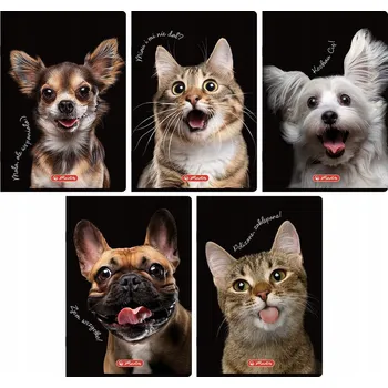 Sešit Sešit Herlitz A5/60 Crazy Animal Čtvereček