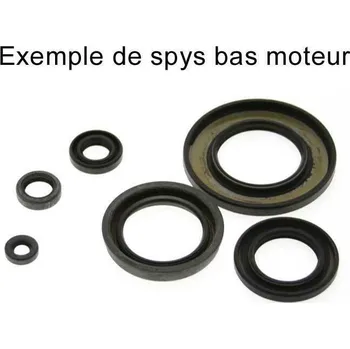 Sada olejového těsnění CENTAURO 666A215SR