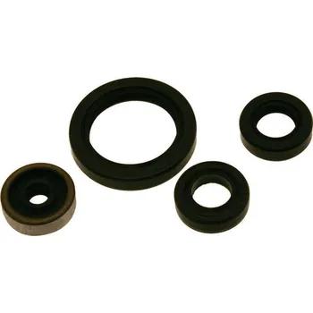 Sada olejového těsnění CENTAURO 731A669SR