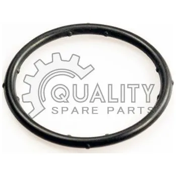 Nářadí pro automobil Kroužek těsnící 36x3,15, 037121687