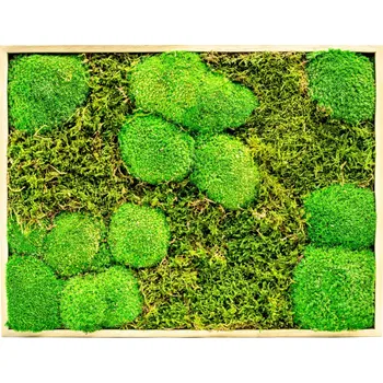 Obraz Gardners Mechový obraz 30x40 cm kombinovaný mech kopečkový s plochým, přírodní