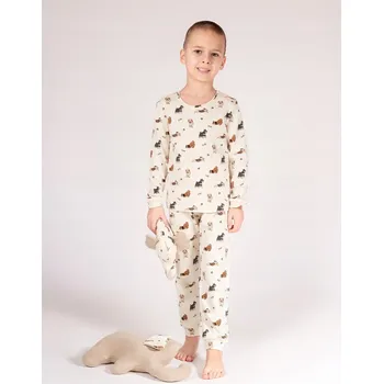 Chlapecké pyžamo PYŽAMO DLOUHÝ RUKÁV TOYS NICOL 211036 104