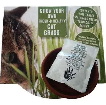 Krmivo pro kočku Semena Tráva pro kočky plus organická zemina do terakotového květináč 15 g proti trichobezoárům
