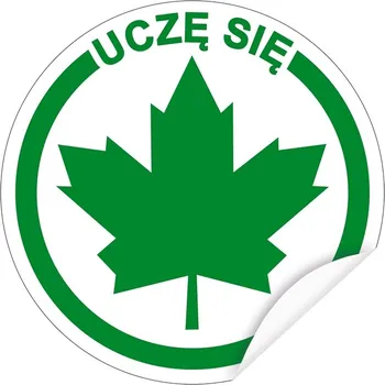 Samolepicí dekorace na vozidlo NÁLEPKA na auto | ZELENÝ LIST pro začínající řidiče - Učím se, 12 cm