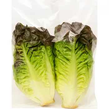 Salát Little gem červený, balení 2ks 160g