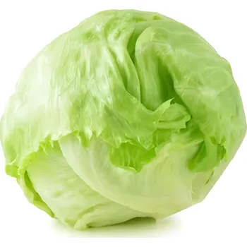 Salát ledový, 350g