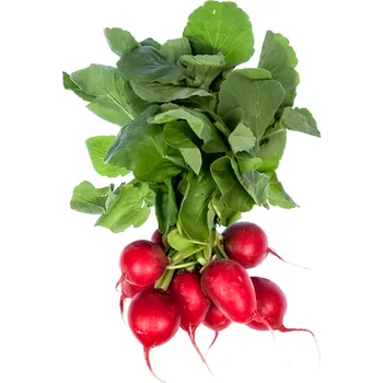 Ředkvičky s natí, svazek, cca 200g