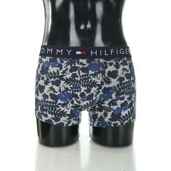 Pánské spodní prádlo Tommy Hilfiger pánské boxerky Timber 20002144-8718771578254