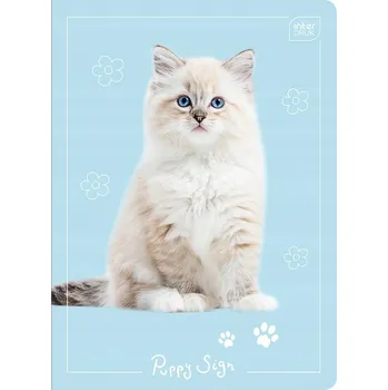 Sešit Sešit A5 s linkami, 16 listů Interdruk - mix obálek