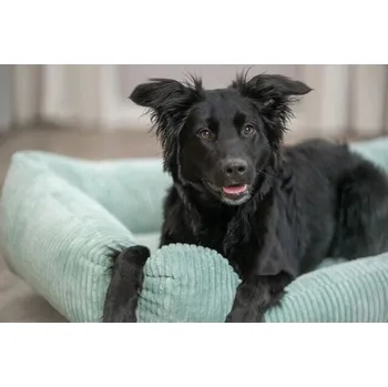 Pelíšek pro psa Ortopedický PELÍŠEK pro psy TRIXIE MEMORY s pěnovým polštářem 80x60 cm