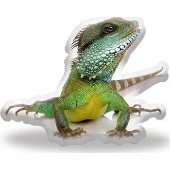Polštář Sablio 3D polštář ve tvaru Leguán
