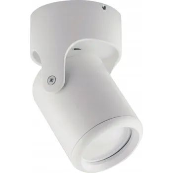 Stropní/nástěnné svítidlo domen GU10 bílé ideus