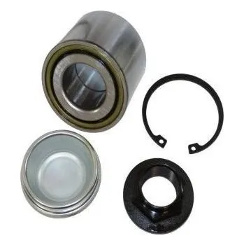 Sada ložiska kola AUTOMEGA 110131710