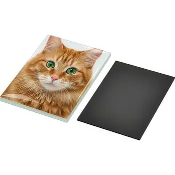 Dekorativní magnet Vypouklá skleněná magnetka s vlastní fotkou 7x5 cm