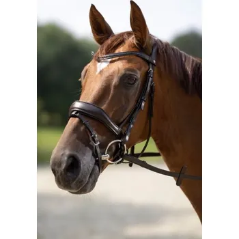 Sport Uzdečka s měkkým podložením Ira - hnědá - Full