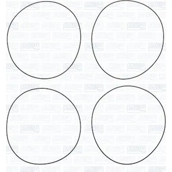 Těsnění motoru Sada těsnění válce, o-kroužky AJUSA 60010300