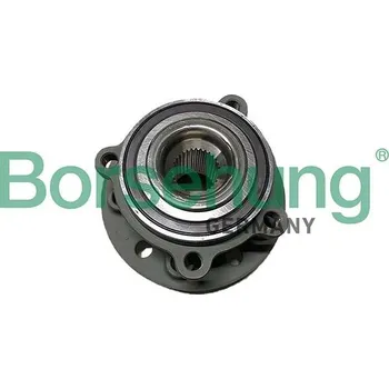 Sada ložiska kola Borsehung B11717