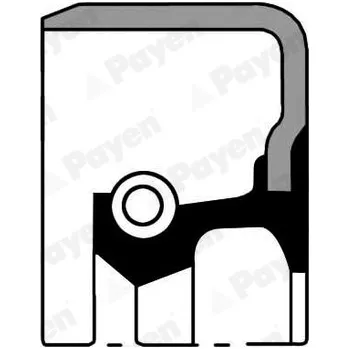 Hřídel nápravy Těsnící šroubek hřídele k diferenciálu PAYEN NJ739