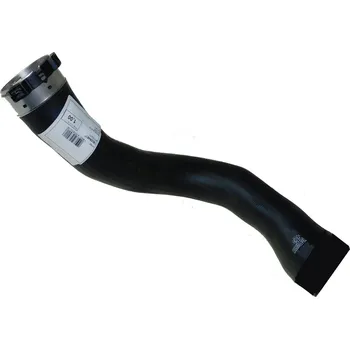 Turbodmychadlo Hadice plnícího vzduchu AUTOMEGA 160094610