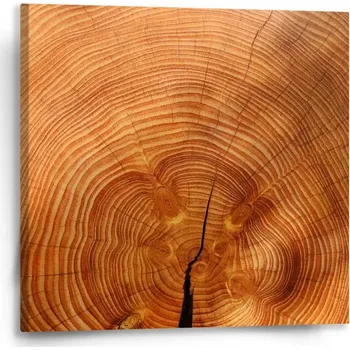 Obraz Sablio Obraz Dřevo 2 - 50x50 cm