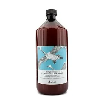 Davines NaturalTech Well Being Conditioner hydratační kondicioner 1 l