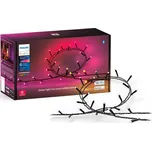 Philips Hue Festavia světelný řetěz 250…
