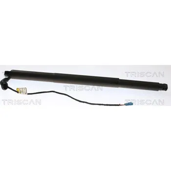 Příslušenství karosérie Pneumatická pružina, zavazadlový / nákladový prostor TRISCAN 8710 11312