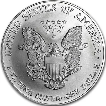 United States Mint American Eagle stříbrná mince 1oz 2003