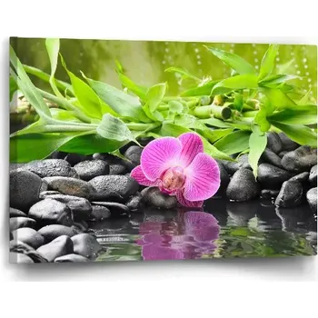 Obraz Sablio Obraz Růžová orchidej - 60x40 cm