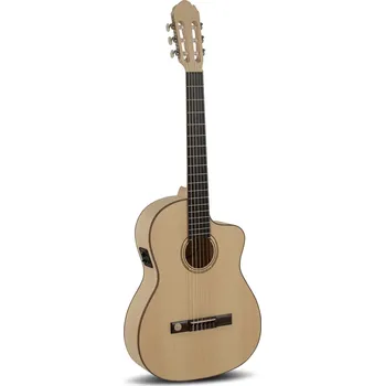 Elektroakustická kytara GEWA E – akustická kytara Pro Natura Silver SambaE-akustické 3071