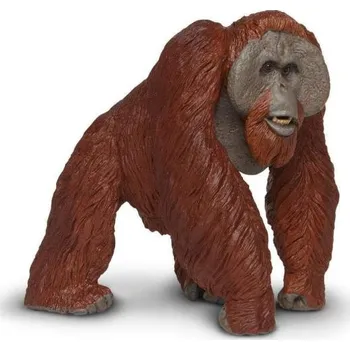 Safari® Orangutan bornejský