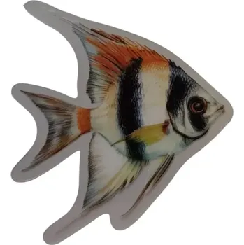 Placka jako přívěšek - Moře 6