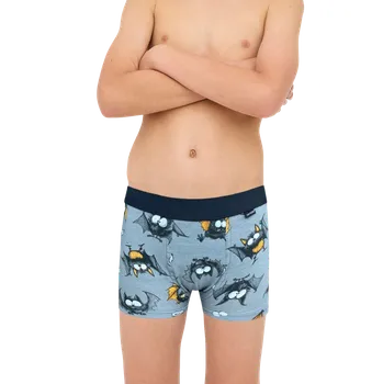 Boxerky chlapecké Cornette 700/154 Bat 146/152 Šedá