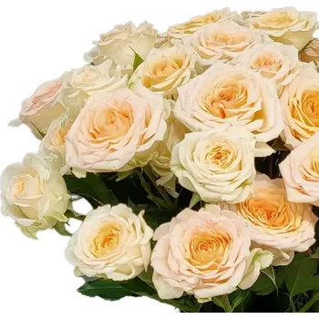 umělá květina Růžová růže trsová ROSANELLA 40cm/4+