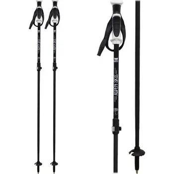 Sjezdová hůlka ASPEN SKIS Carbon Vario