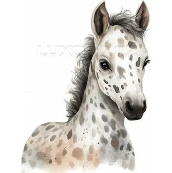 Nažehlovačka Apalůský kůň hříbě - 9 x 12 cm