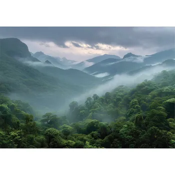 Fototapeta FOTOTAPETA LES HORY MLHA PŘÍRODA DO LOŽNICE OBÝVACÍHO POKOJE TAPETA VLIESOVÁ 250x175