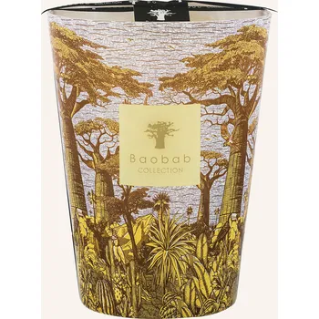 Svíčka Baobab Collection Vonná Svíčka Sacred Trees Cocody, žlutá /...