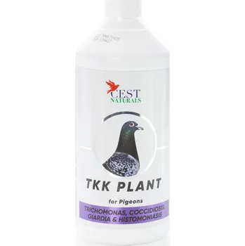 TKK PLANT 1L CEST Pharma