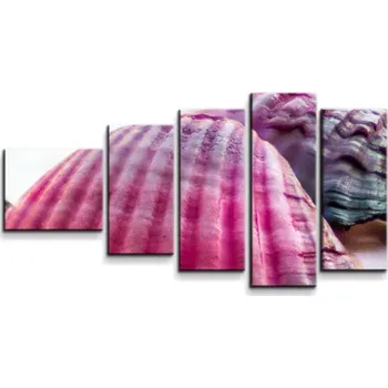 Obraz Sablio Obraz - 5-dílný Mušličky - 100x60 cm