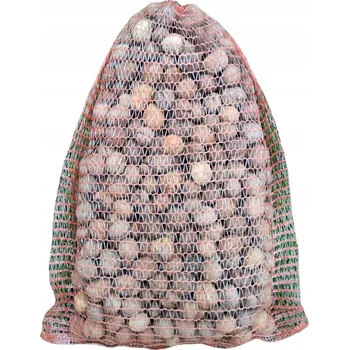 Vlašské ořechy ve skořápce 2021 5 kg ITALSKÝ