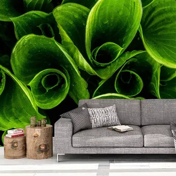 Tapeta Sablio Tapeta Zelené listy - 208x125 cm