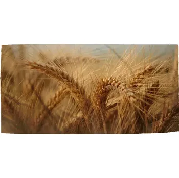 Osuška Sablio Ručník Klasy 2 - 50x100 cm