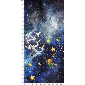 Panel na fusak z kočárkoviny 50x100 Princ "B"